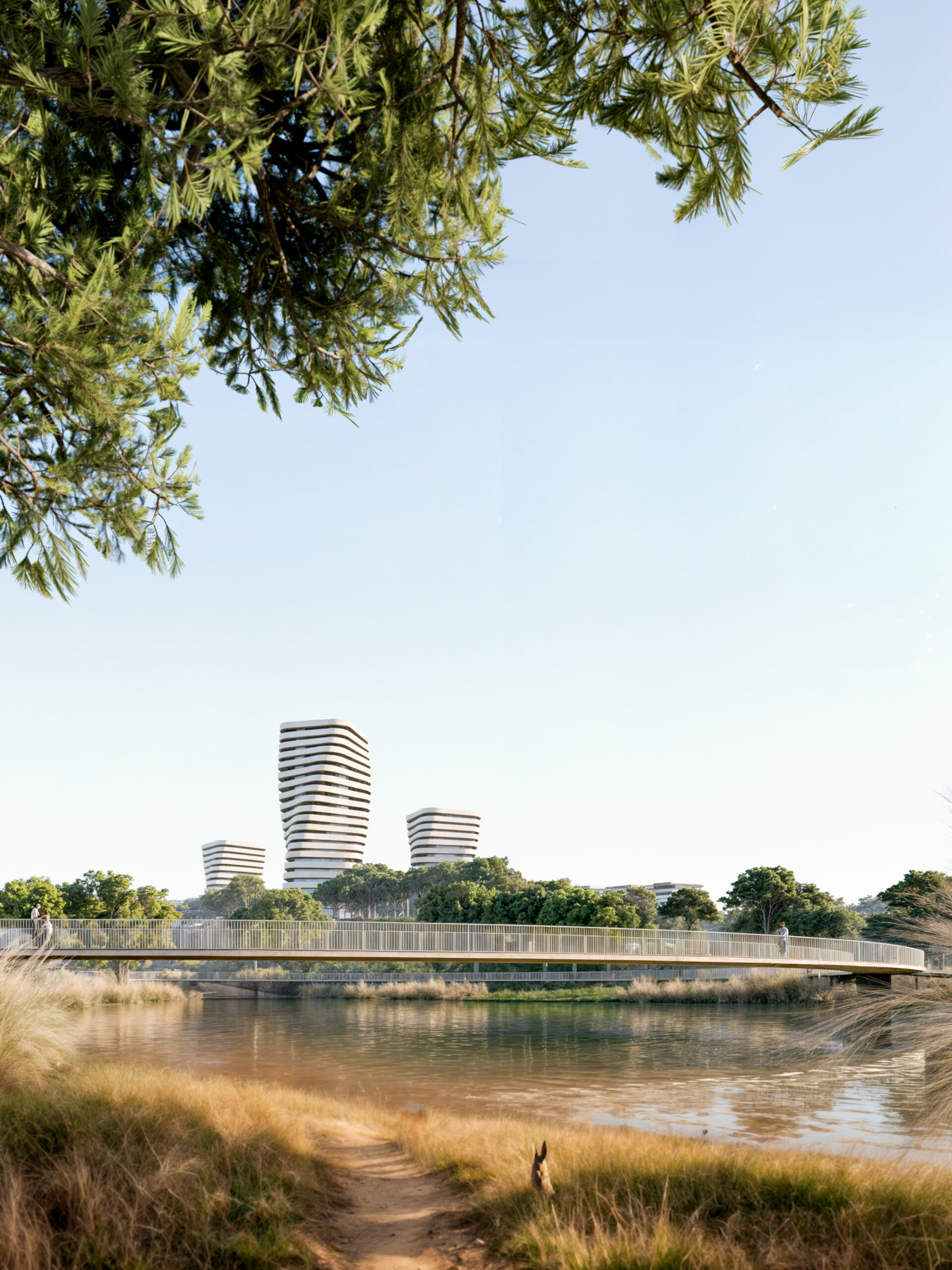 Quinta dos Medronheiros | Vista